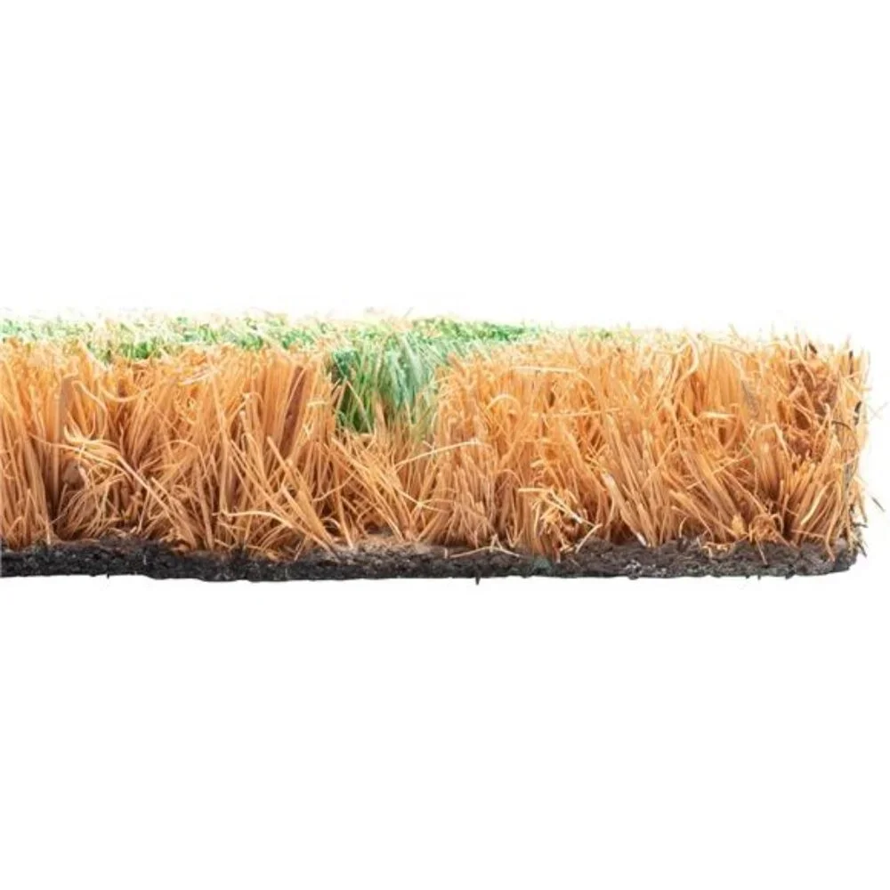 – Doormat | Flamingo Duo | All Weather Heavy Duty Mat | 100% Natural Coir Face